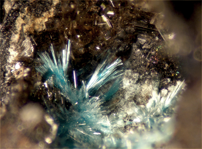 Schulenbergite & Serpierite