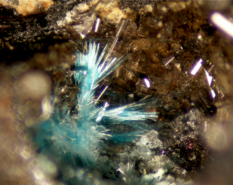 Schulenbergite & Serpierite