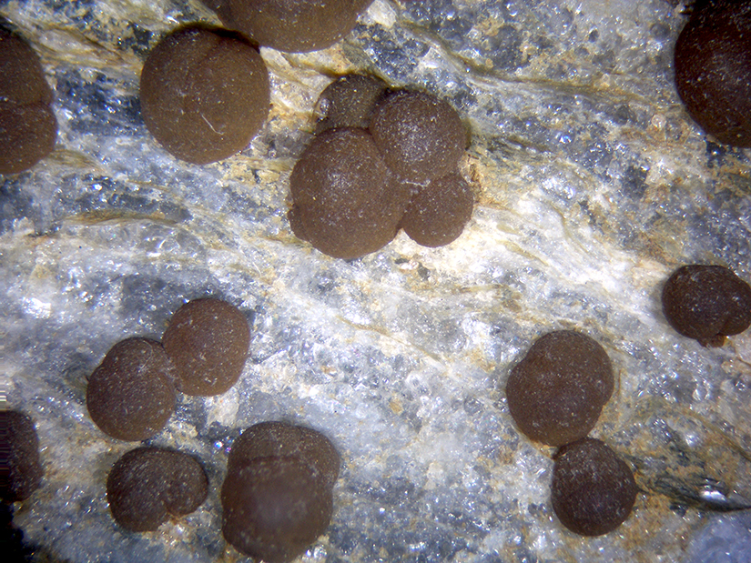 Eosphorite