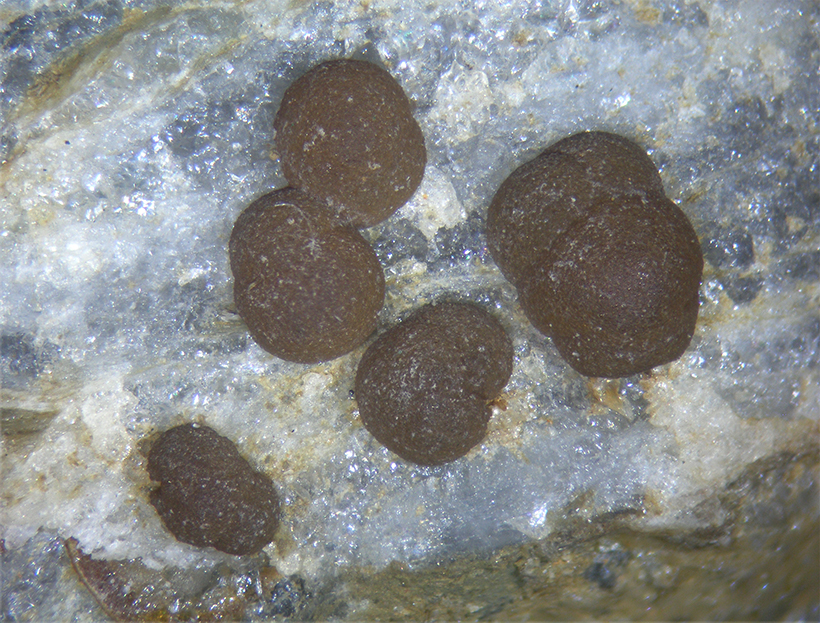 Eosphorite