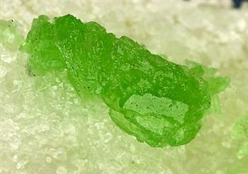 Pargasite