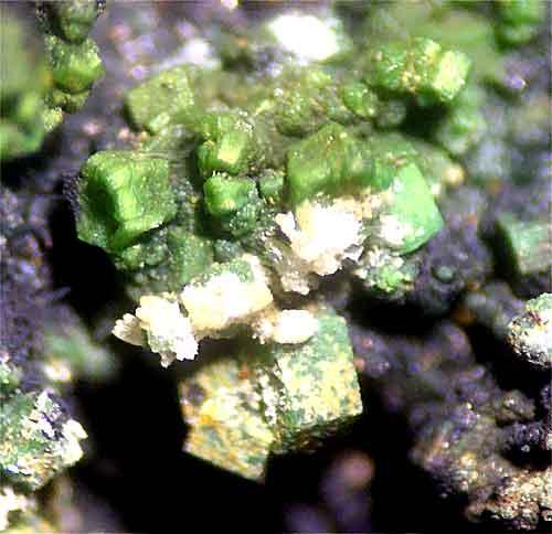 Bayldonite