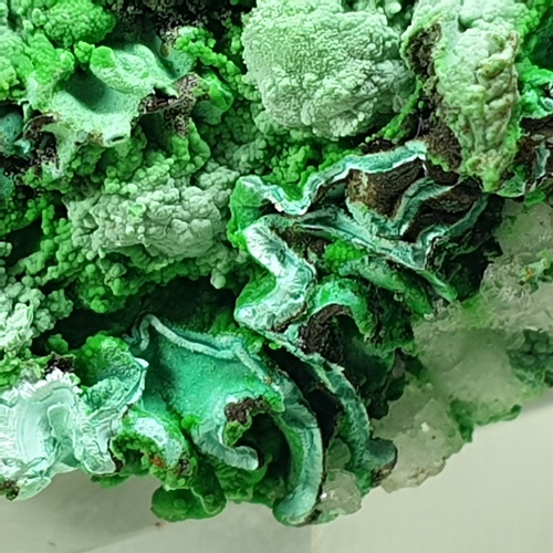 Conichalcite On Copper