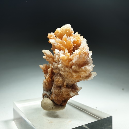 Aragonite