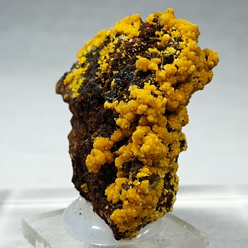 Mimetite