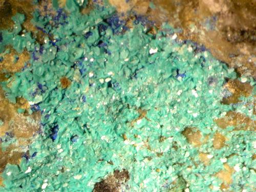 Chalcophyllite