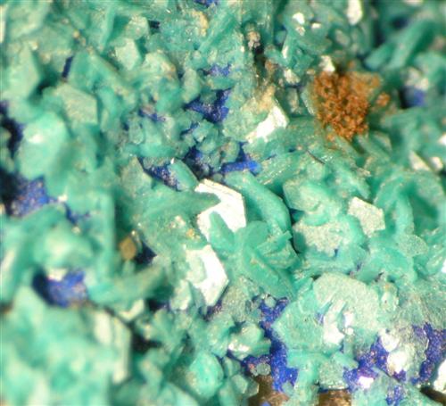 Chalcophyllite