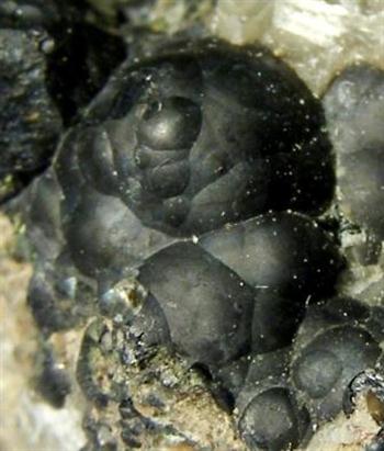 Uraninite Var Pitchblende