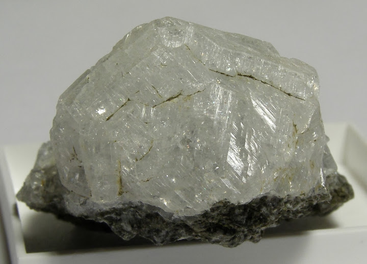 Phacolite