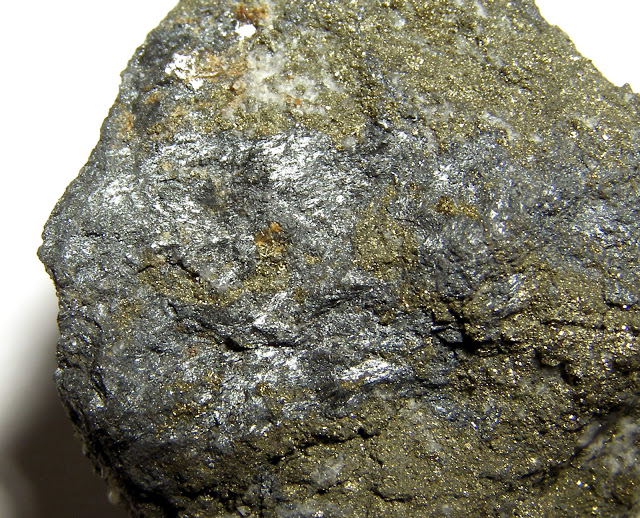 Scainiite