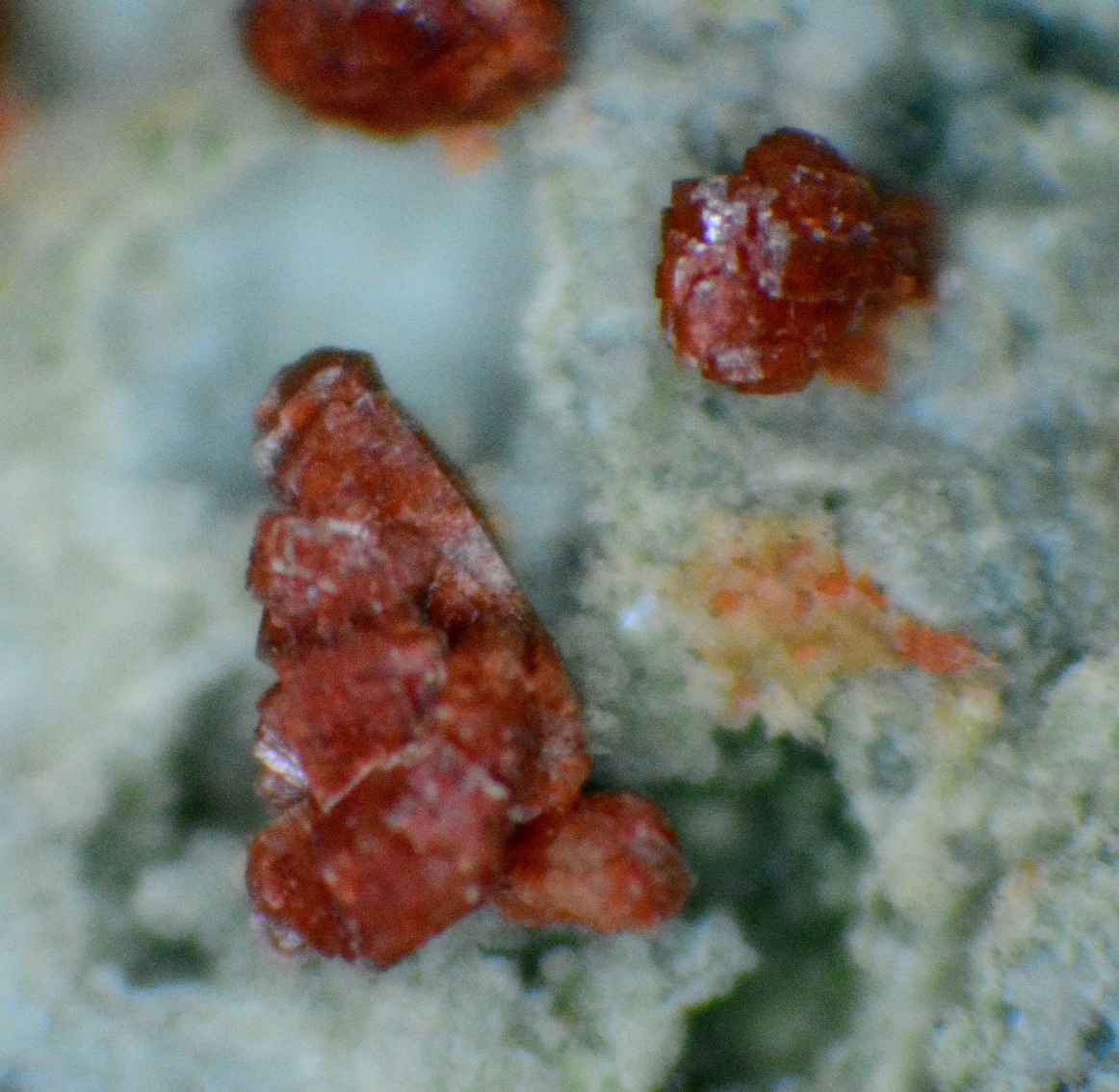 Clinoptilolite-K