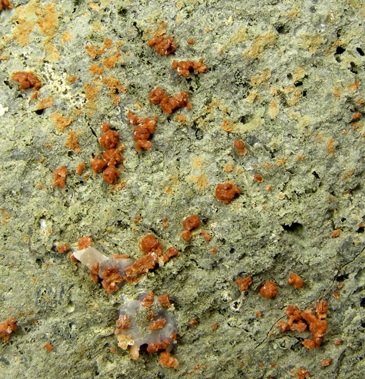 Clinoptilolite-K