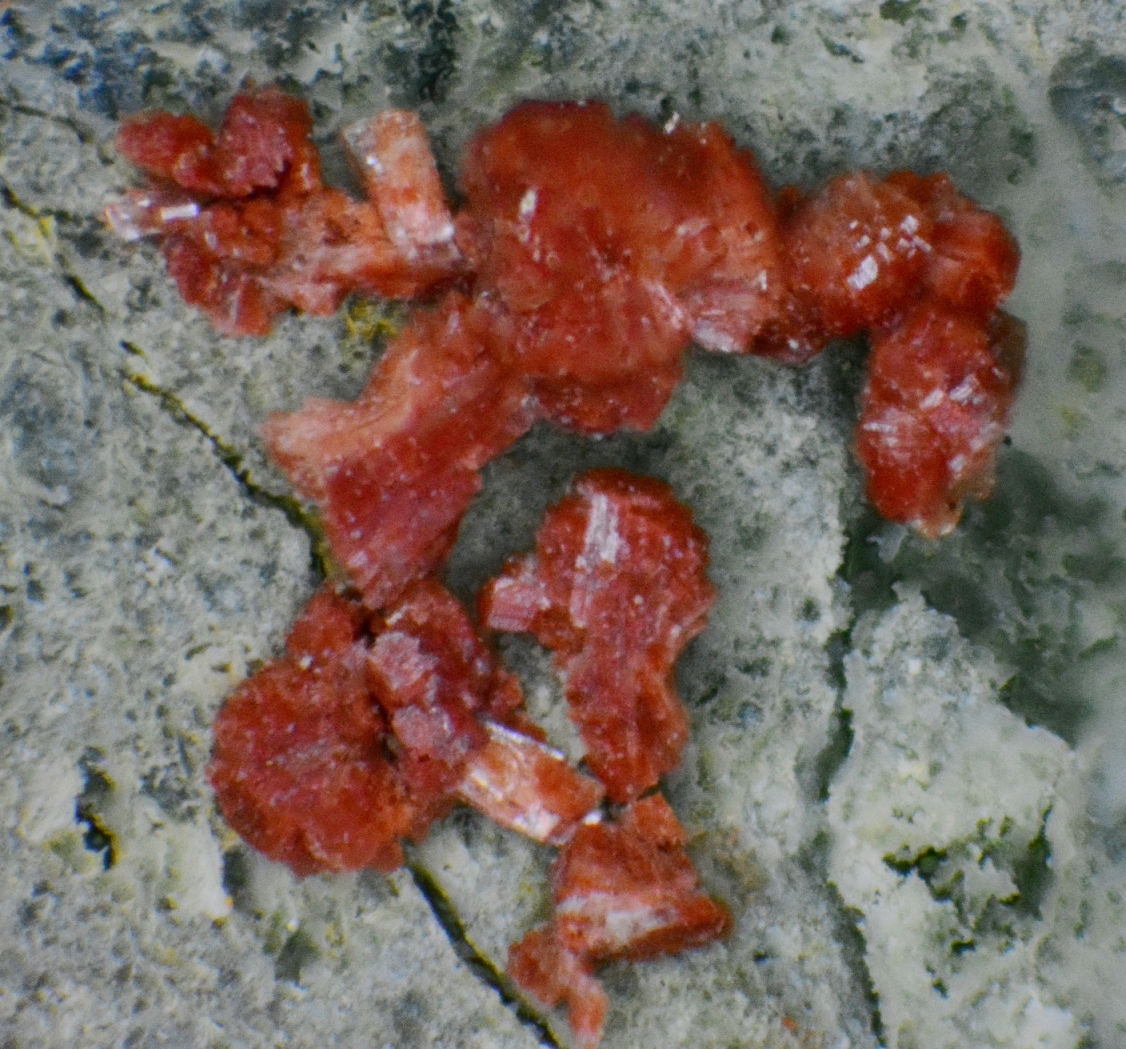 Clinoptilolite-K