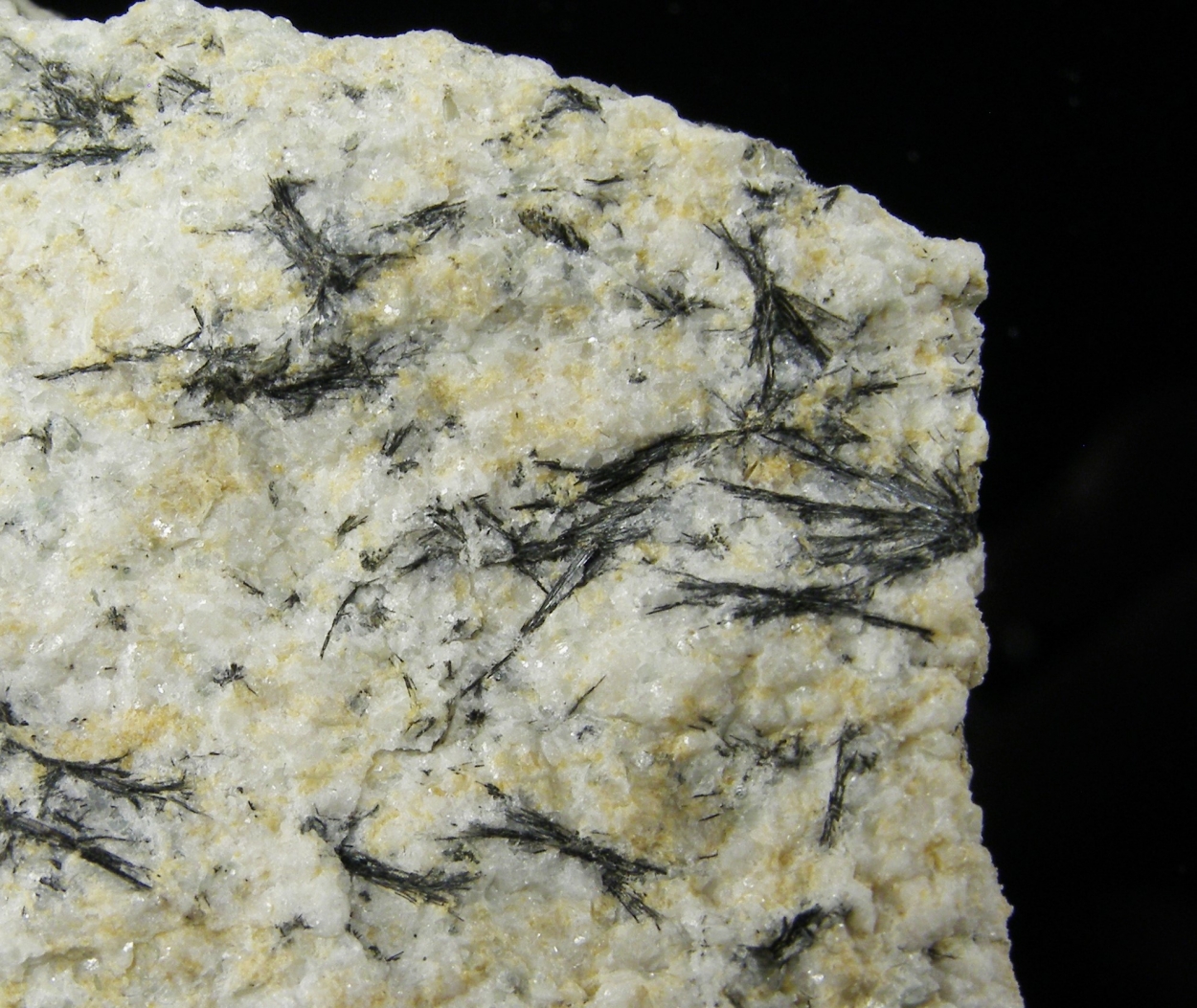 Ludwigite