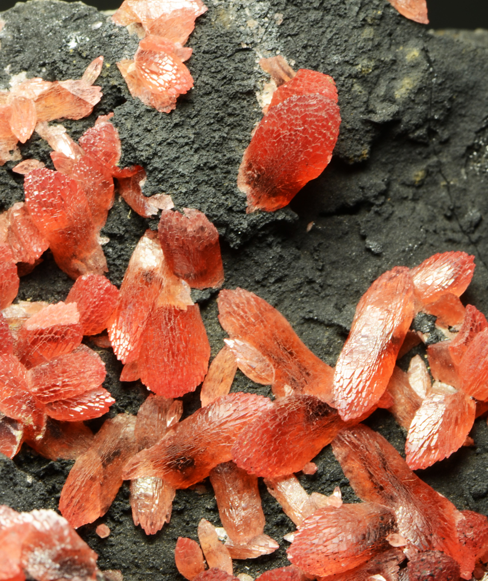 Rhodochrosite