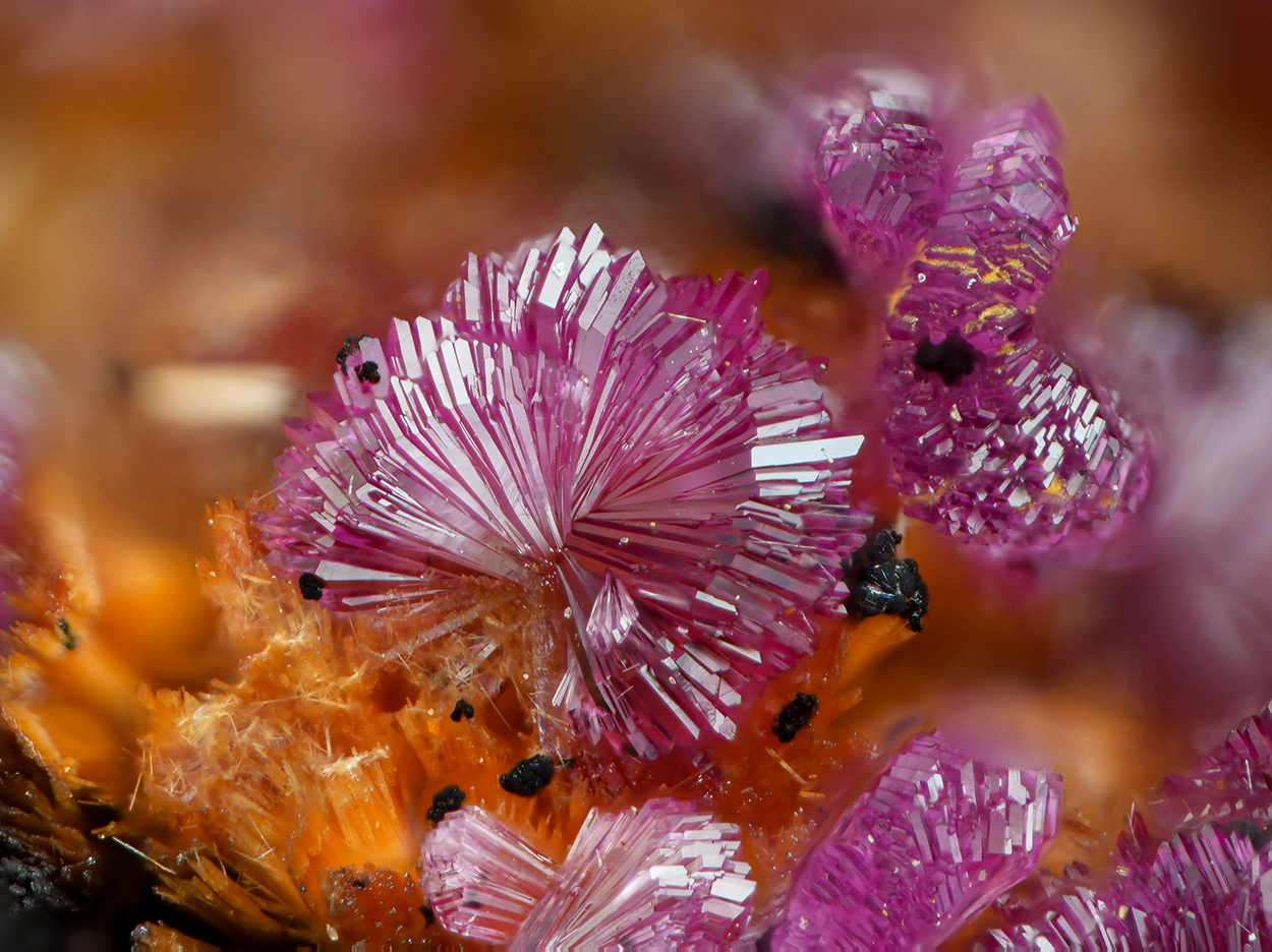 Strengite & Beraunite