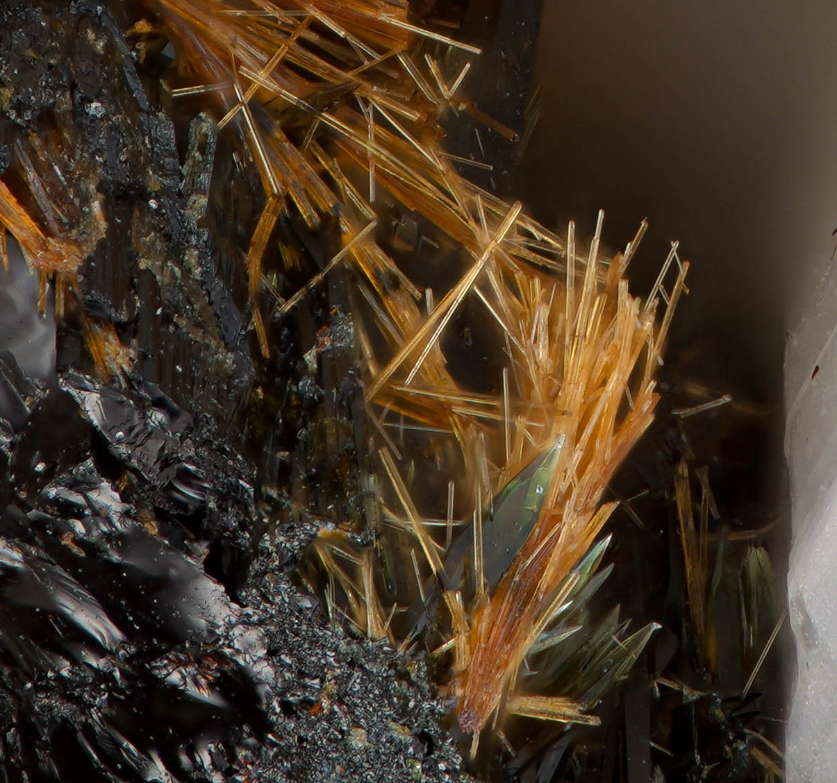 Astrophyllite