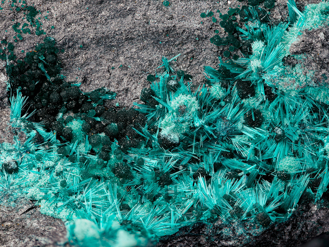 Brochantite Clinoatacamite & Malachite