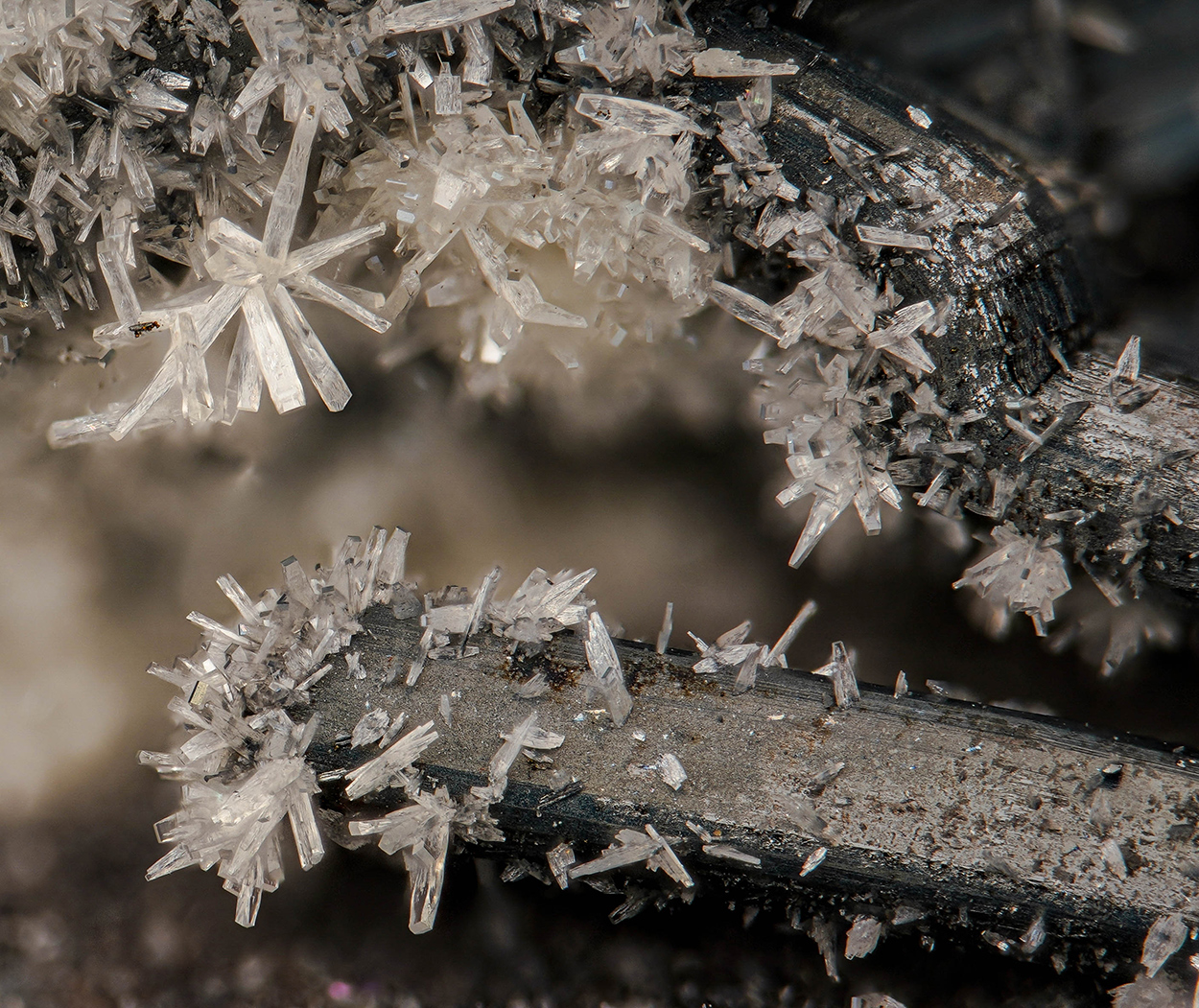 Valentinite & Coquandite