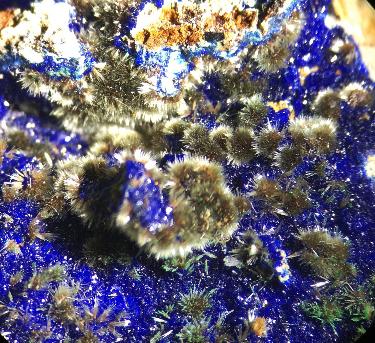 Olivenite On Azurite