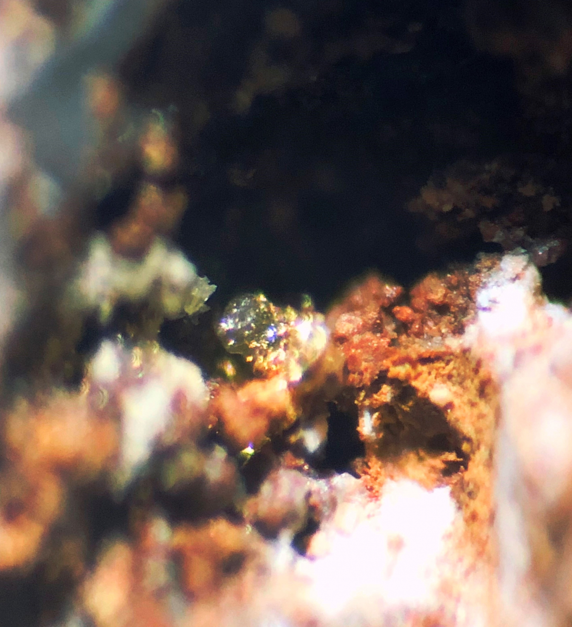 Miersite