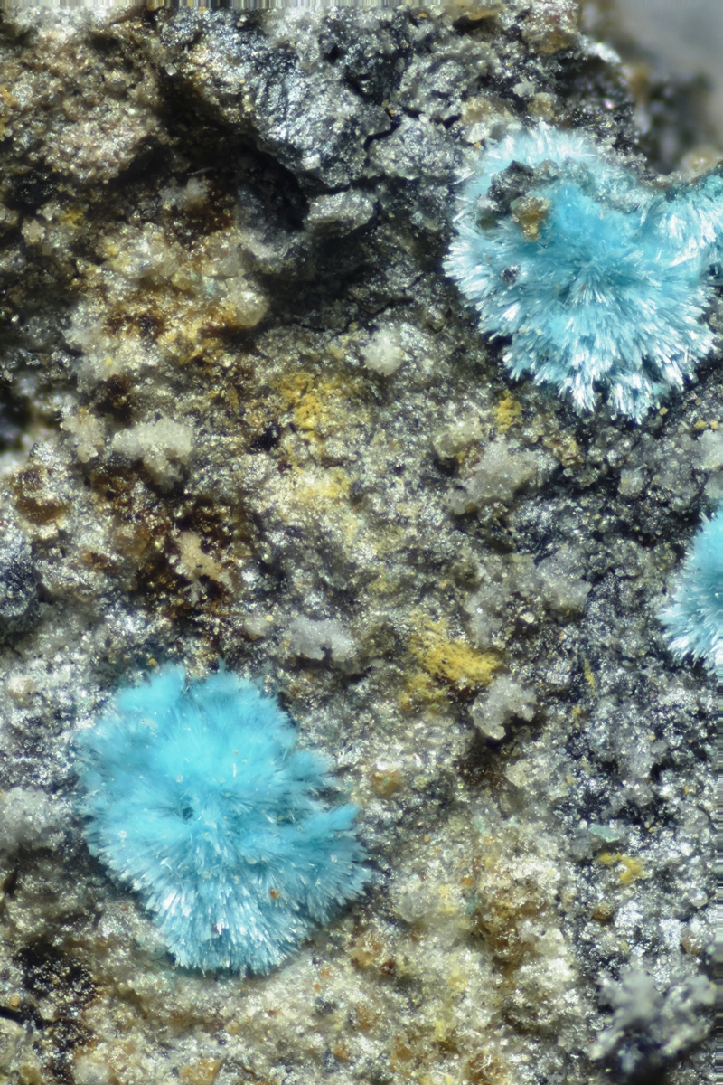 Kapellasite
