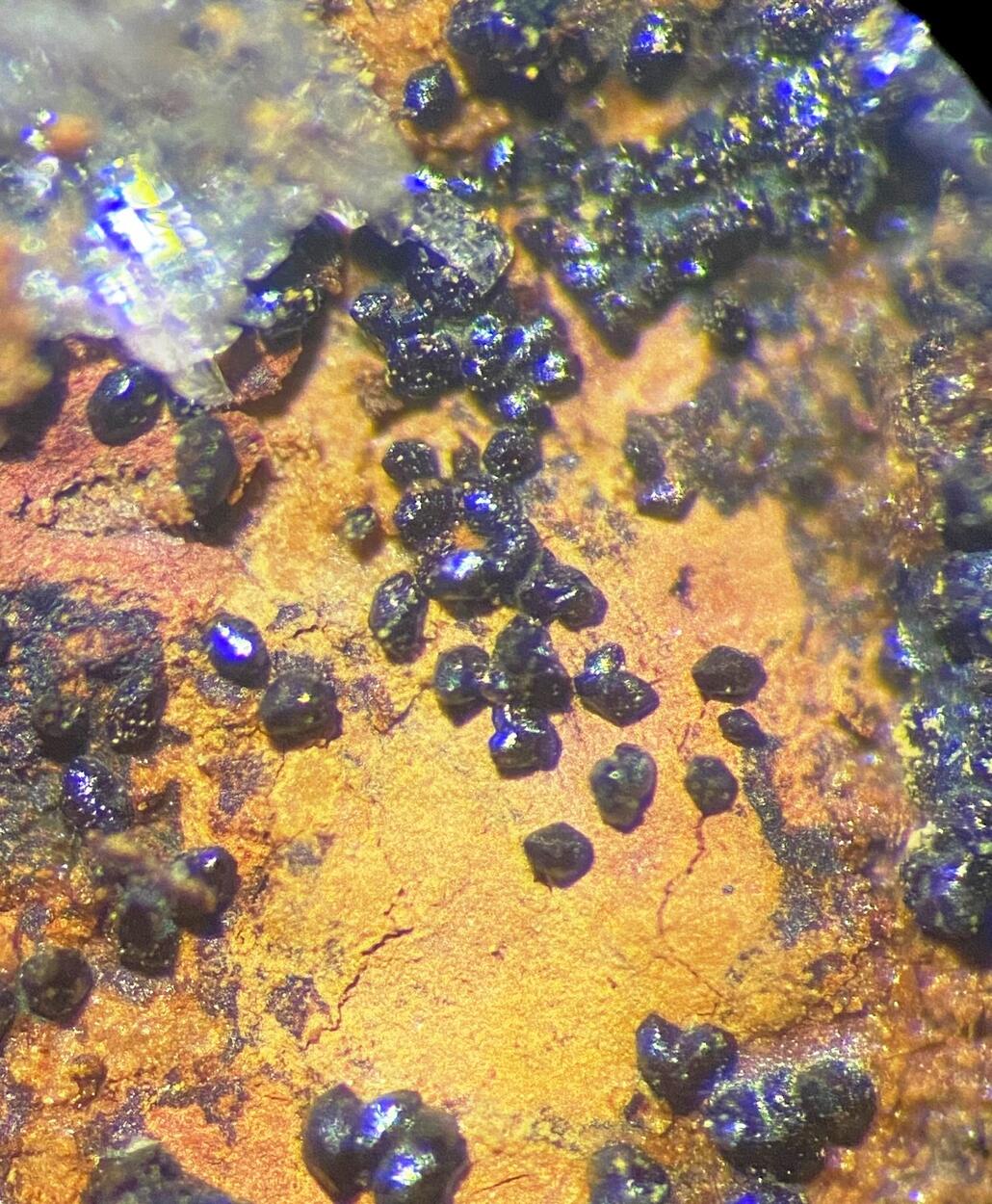 Jacobsite-Q