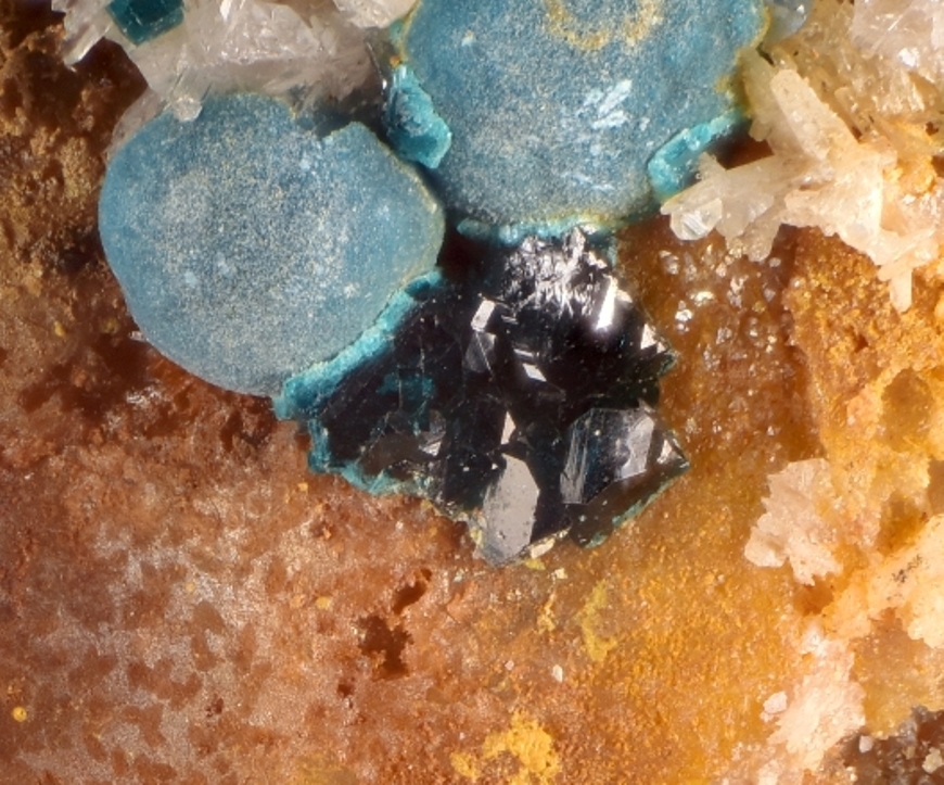 Paratacamite