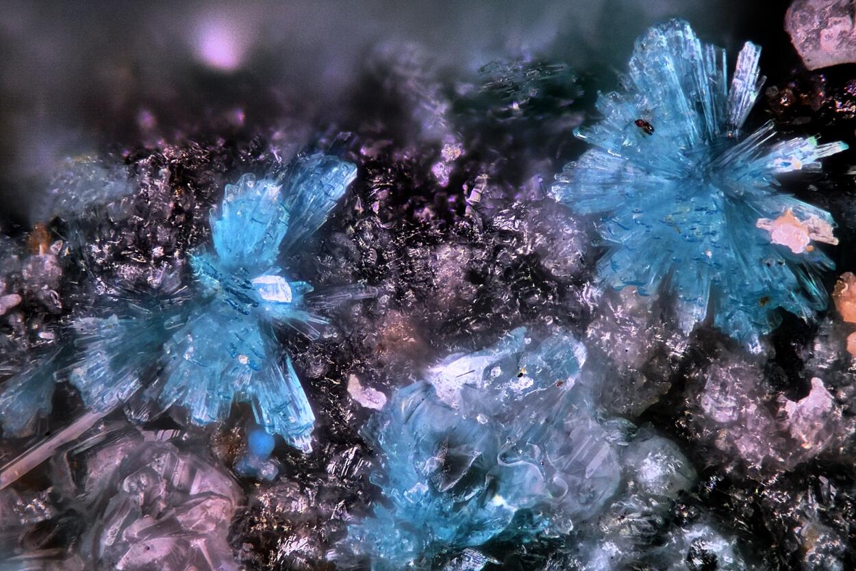 Fehrite