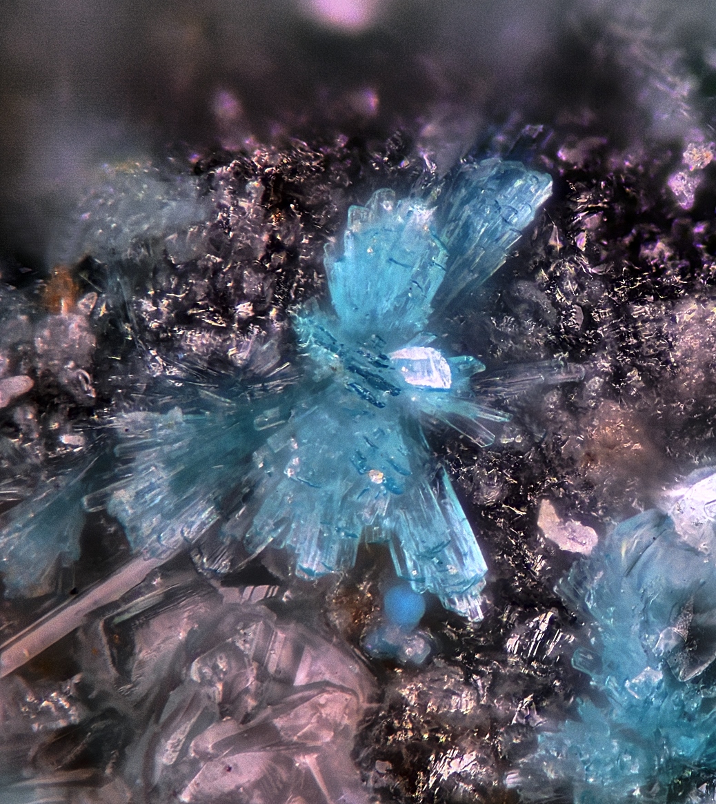 Fehrite