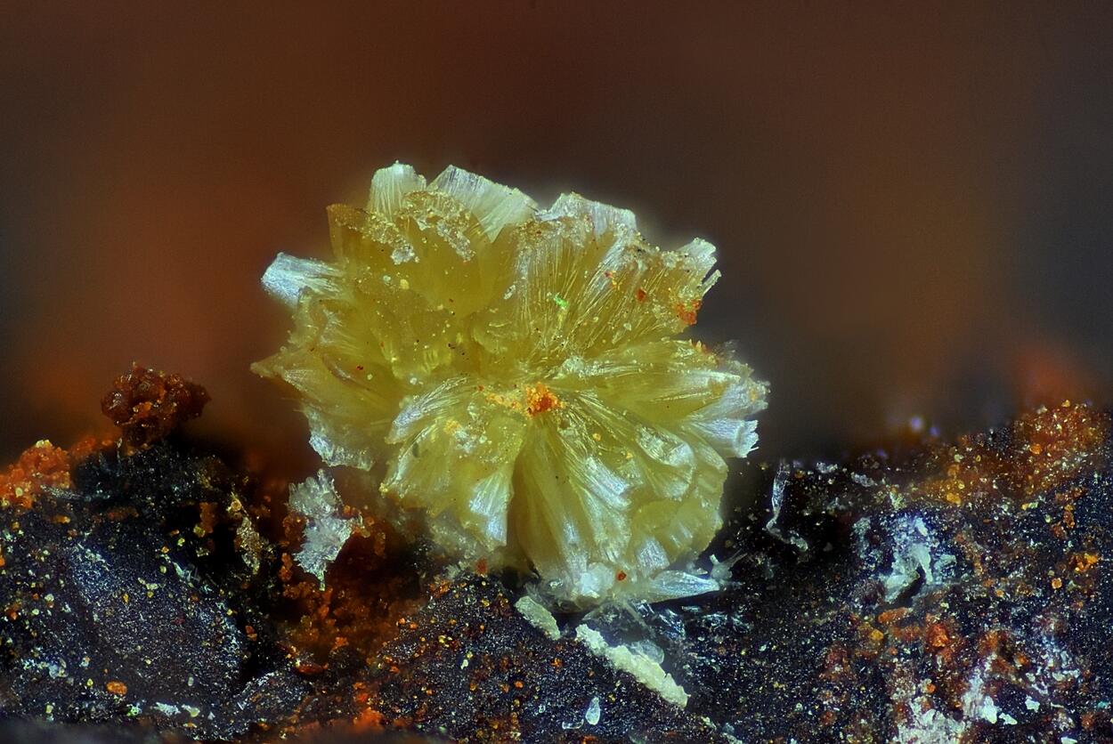 Hilarionite