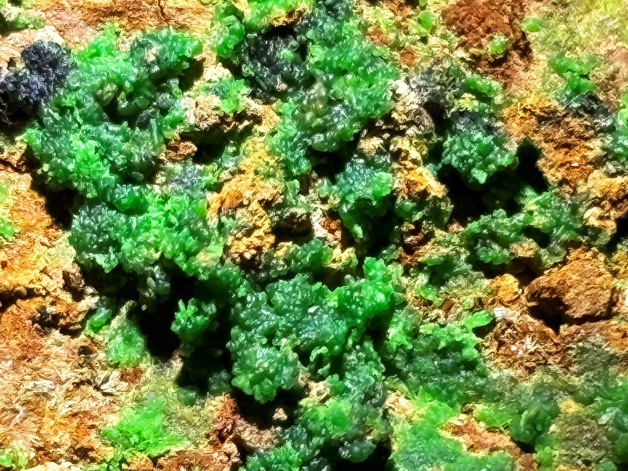 Conichalcite