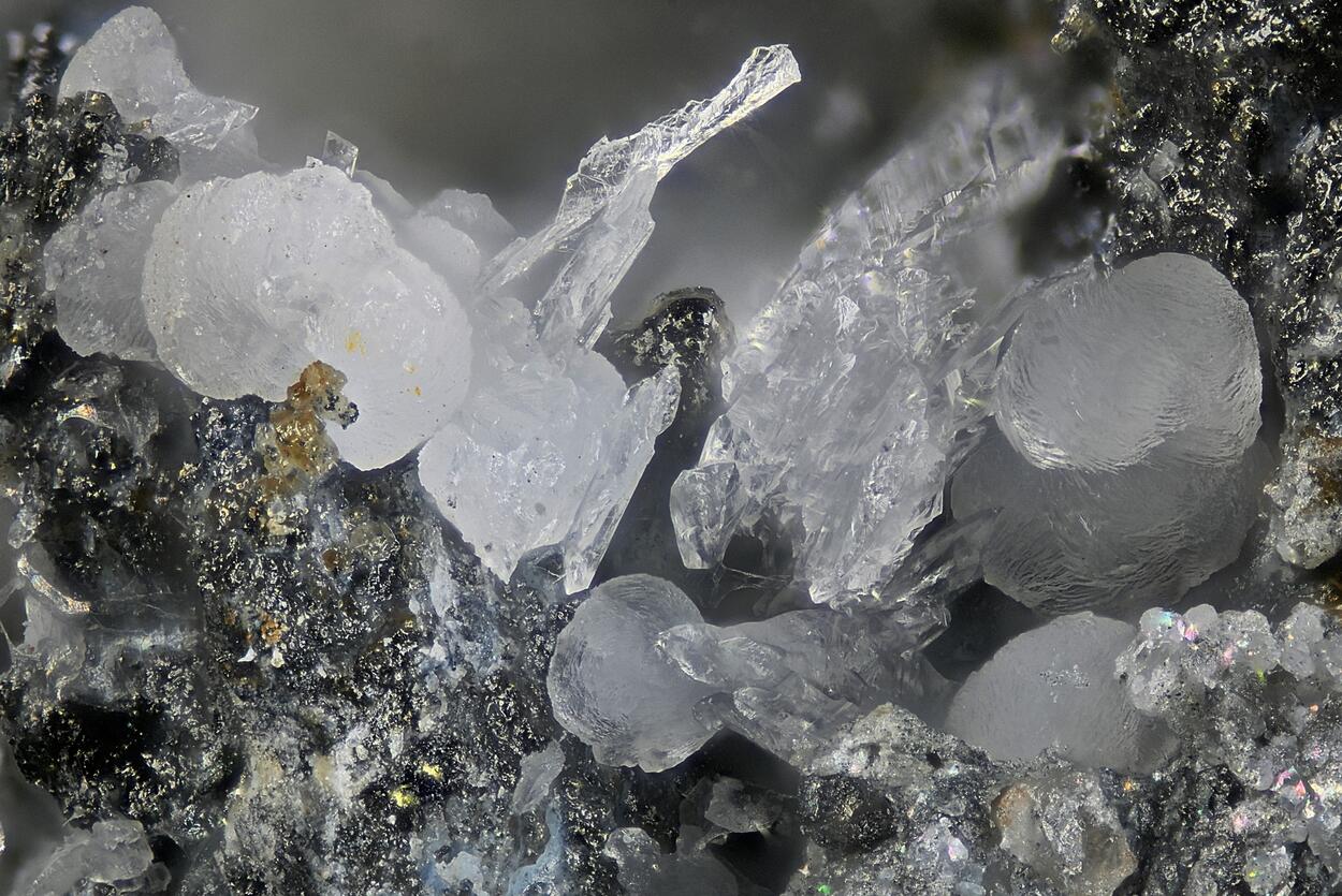 Chongite