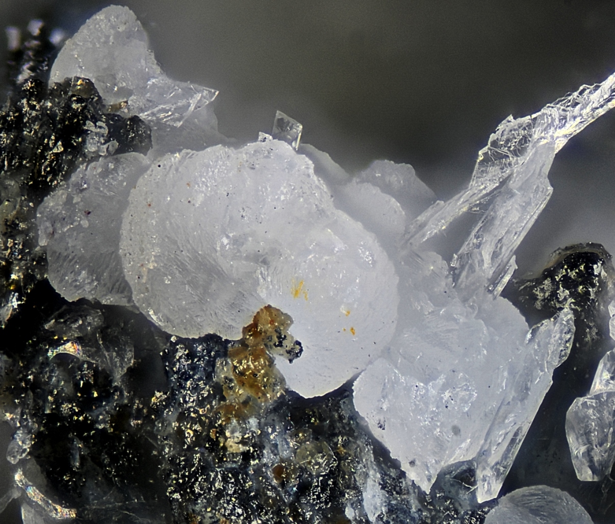 Chongite