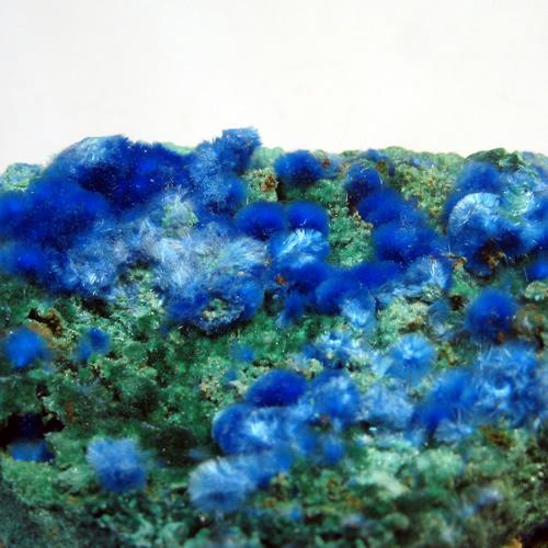 Cyanotrichite & Malachite