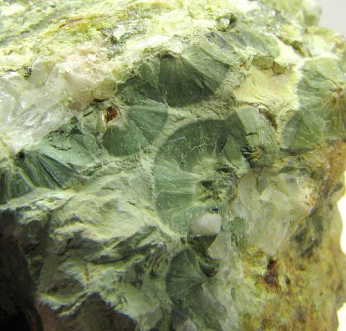 Olivenite Var Wood Copper