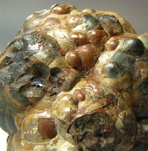 Sphalerite Var Schalenblende