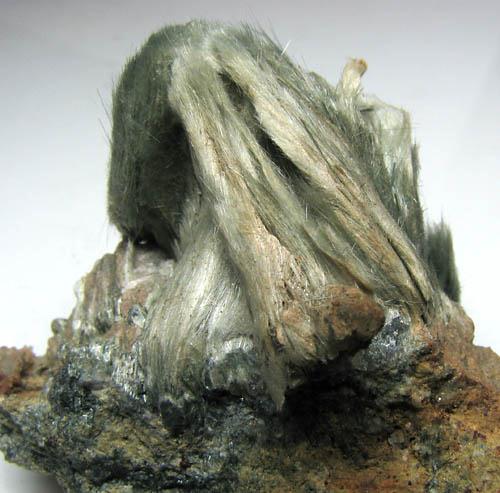 Actinolite Var Byssolite