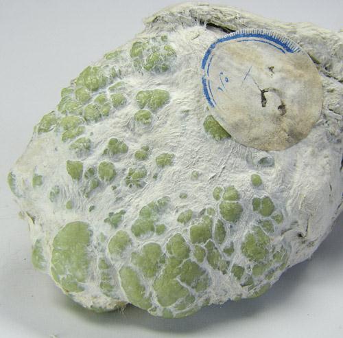 Andradite Var Demantoid