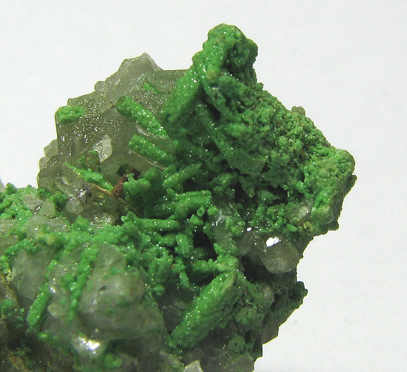 Cerussite & Bayldonite Psm Mimetite