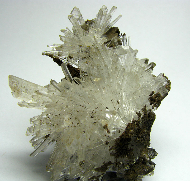 Gypsum Var Selenite