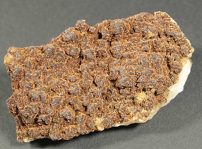 Goethite Var Samtblende