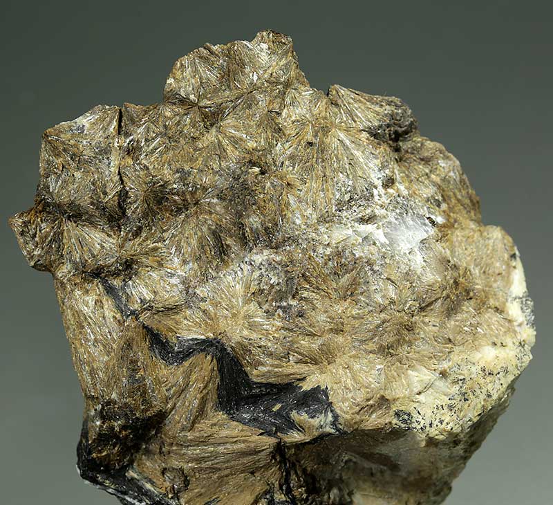 Bustamite