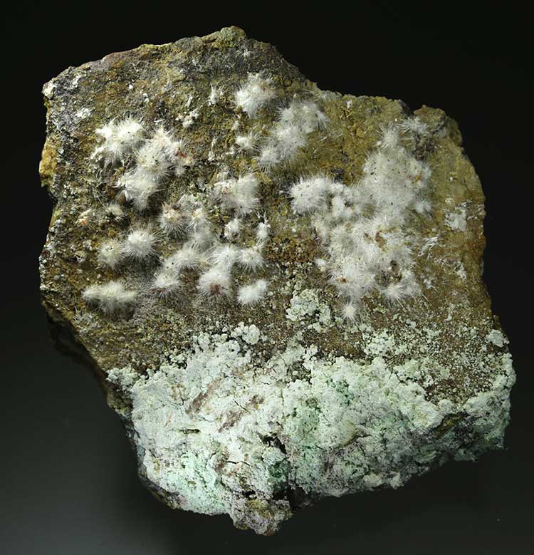 Pharmacolite