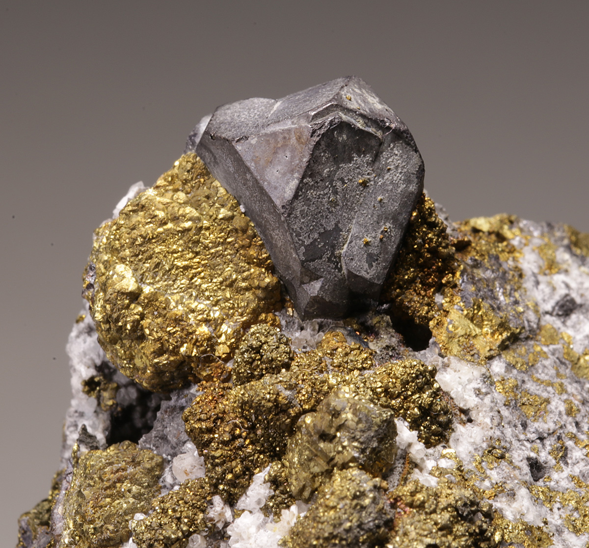 Galena & Pyrite