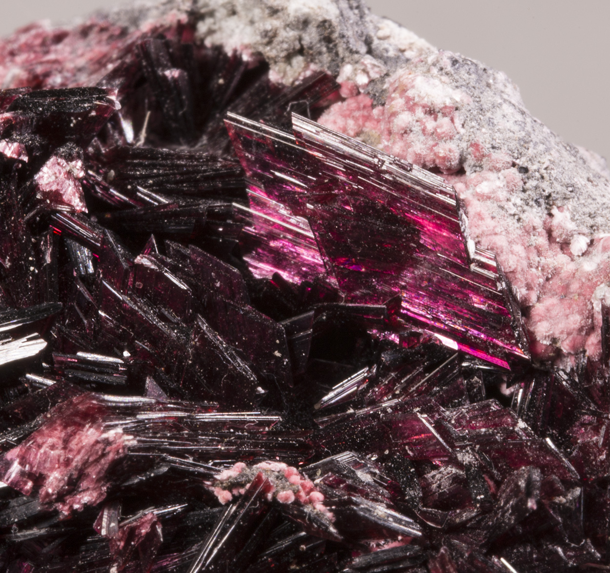 Erythrite