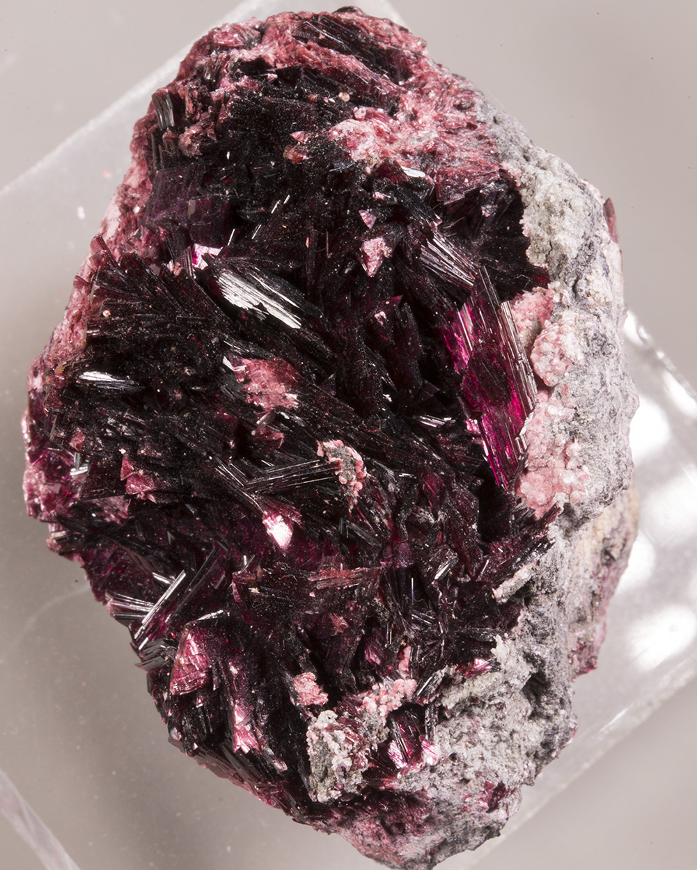 Erythrite