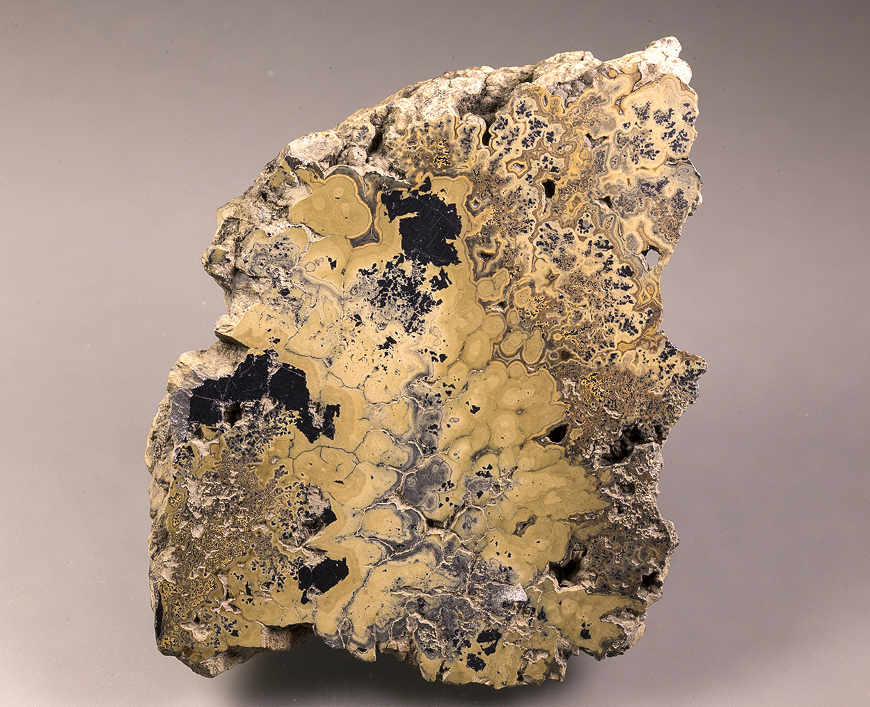 Sphalerite Var Schalenblende & Galena