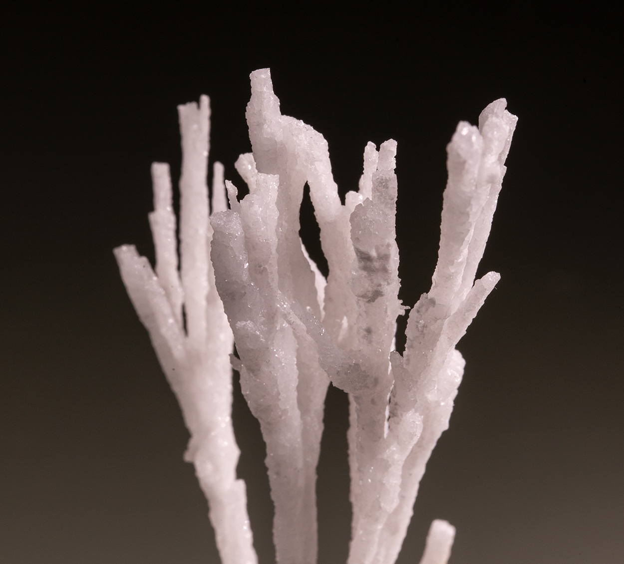 Aragonite