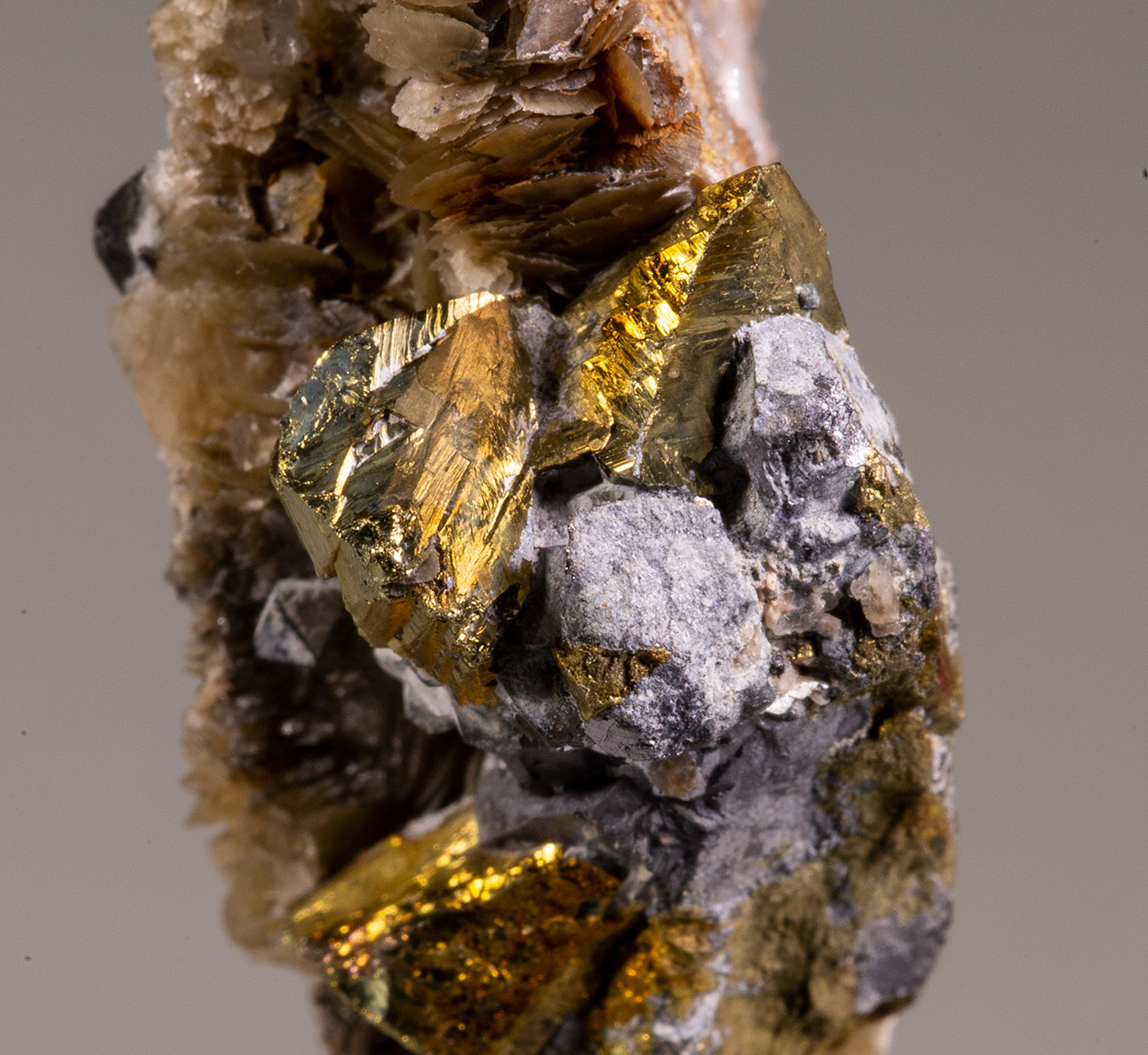 Galena Chalcopyrite & Siderite